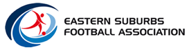 Eastern Suburbs Football Association