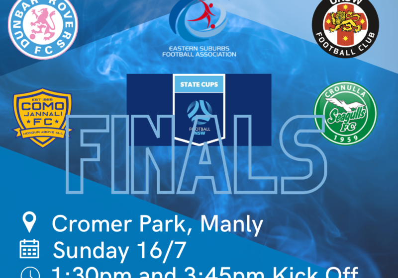 STATE CUP FINALS (2)